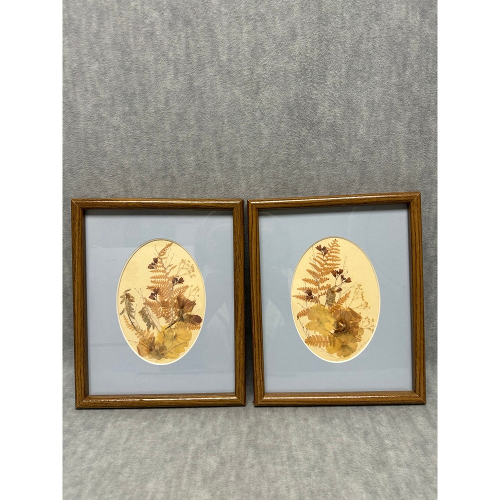 VTG Set of 2 Framed Dried Pressed Fern Flowers Botanical Art Oval Cottagecore
